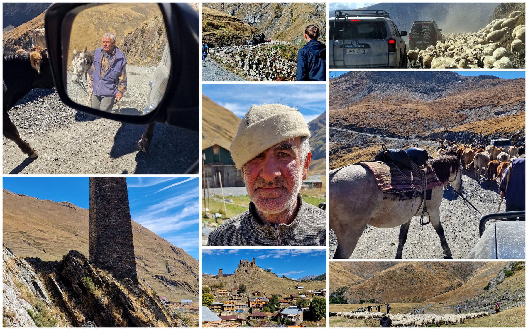 Collage Viehtrieb Tuschetien Georgien Kaukasus