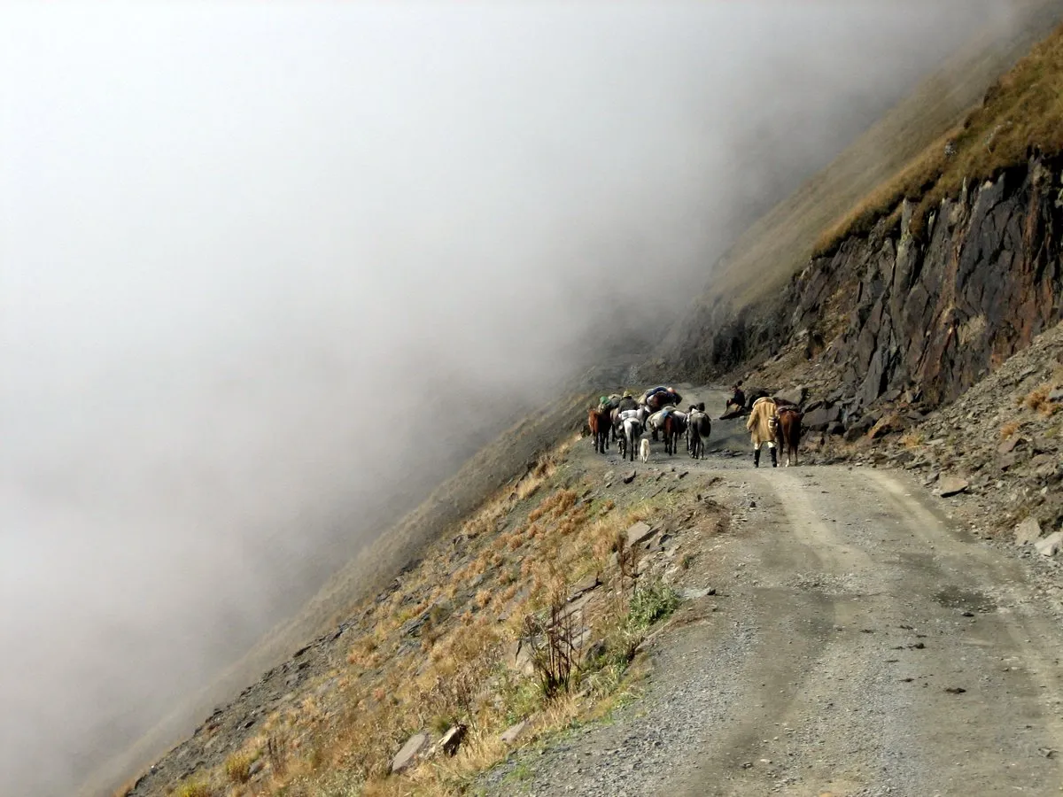 Georgien Reise Wandern Viehtrieb Schafabtrieb Schafe Schäfer 4x4 Jeeptour Offroad Tour Tuschetien Tusheti Omalo Berge Kaukasus Urlaub Ferien Abenteuer Abenteuerreise Offroadtour Offroadreise individuell Kleingruppe Hochgebirge Steppe Tiflis Tbilissi Tbilisi Kaukasus-Reisen Natur Tiere Transhumance Pferde