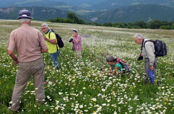 Reise Flora im Kaukasus Georgien - eine botanische Reise mit Kaukasus-Reisen