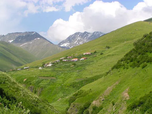 Reise Flora im Kaukasus Georgien - eine botanische Reise mit Kaukasus-Reisen