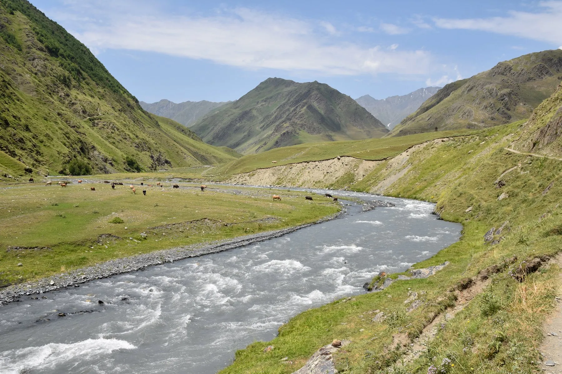 Georgien Reise Georgienreise Wandern Wanderreise Wanderurlaub Trekking Trecking Treckingreise Tour Tuschetien Tusheti Omalo Schatili Shatili Chewsuretien Khevsureti mountains Berge Kaukasus Urlaub Ferien Abenteuer Abenteuerreise Offroadtour Offroadreise individuell Kleingruppe Hochgebirge Steppe Tiflis Tbilissi Tbilisi Kaukasus-Reisen Natur Tiere Transhumance Pferde Guide Zelten Camp Atsunta Pass Stepantsminda Juta Dshuta Kasbegi Kazbegi Kasbek Shatili Schatili