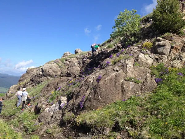 Reise Flora im Kaukasus Georgien mit Kaukasus-Reisen