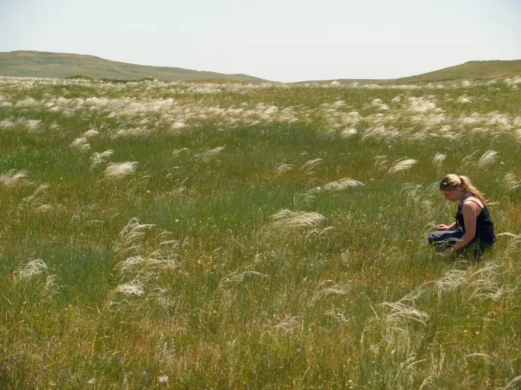 Reise Flora im Kaukasus Georgien mit Kaukasus-Reisen