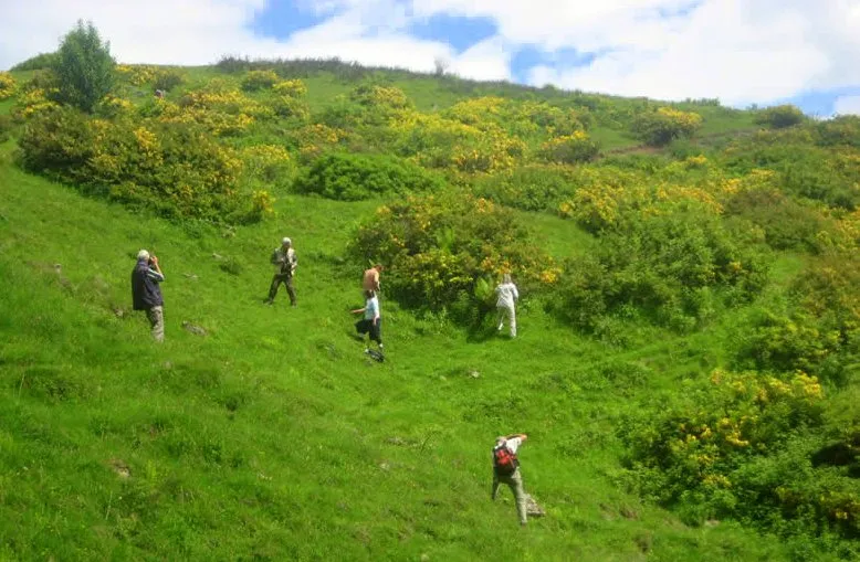 Reise Flora im Kaukasus Georgien - eine botanische Reise mit Kaukasus-Reisen