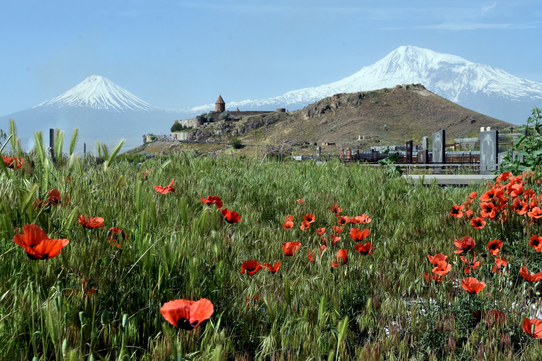 Blick auf den Ararat vom armenischen Kloster Chor Virap