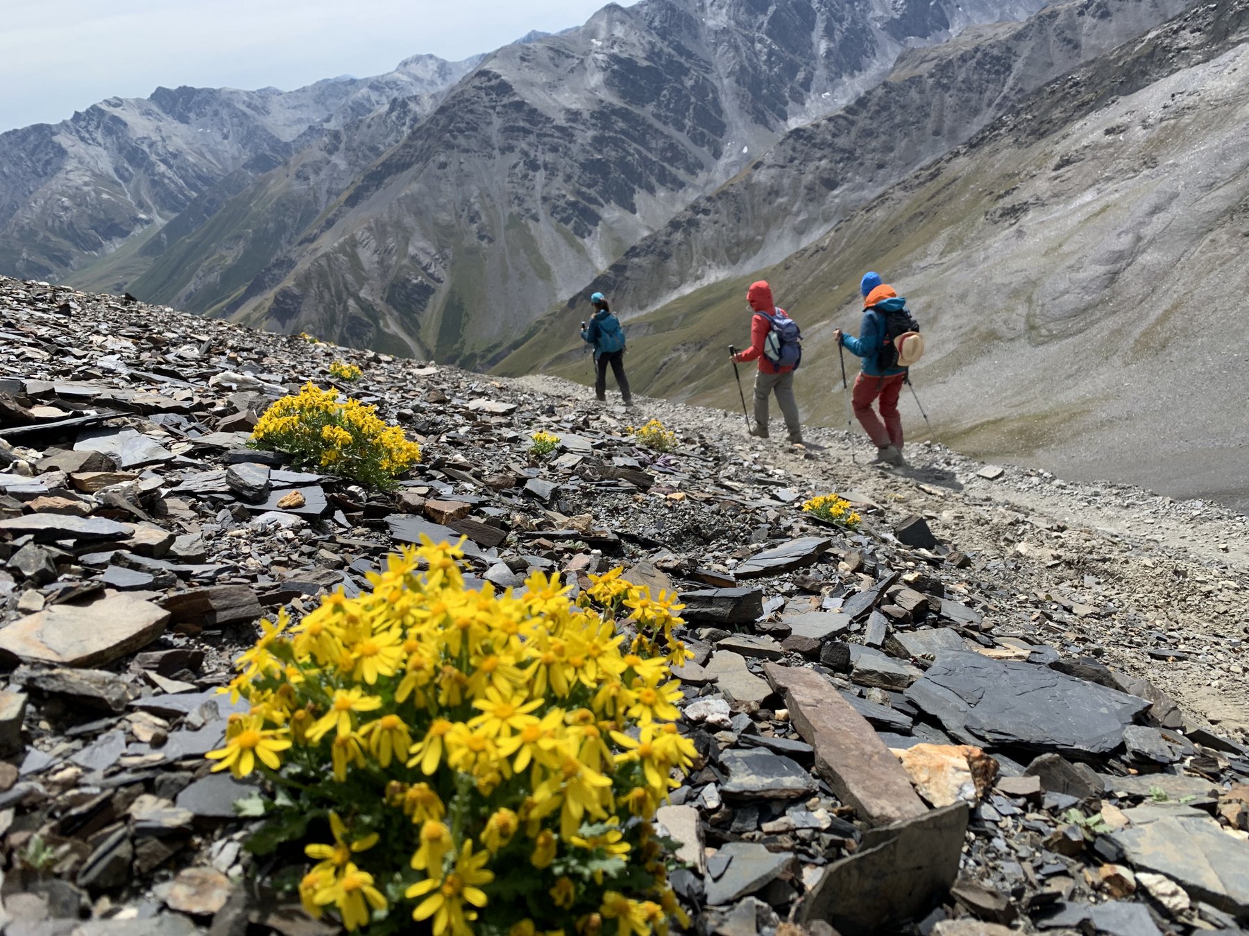 Trekkingreise Stepantsminda - Omalo mit Kaukasus-Reisen. Foto: Peter Gall