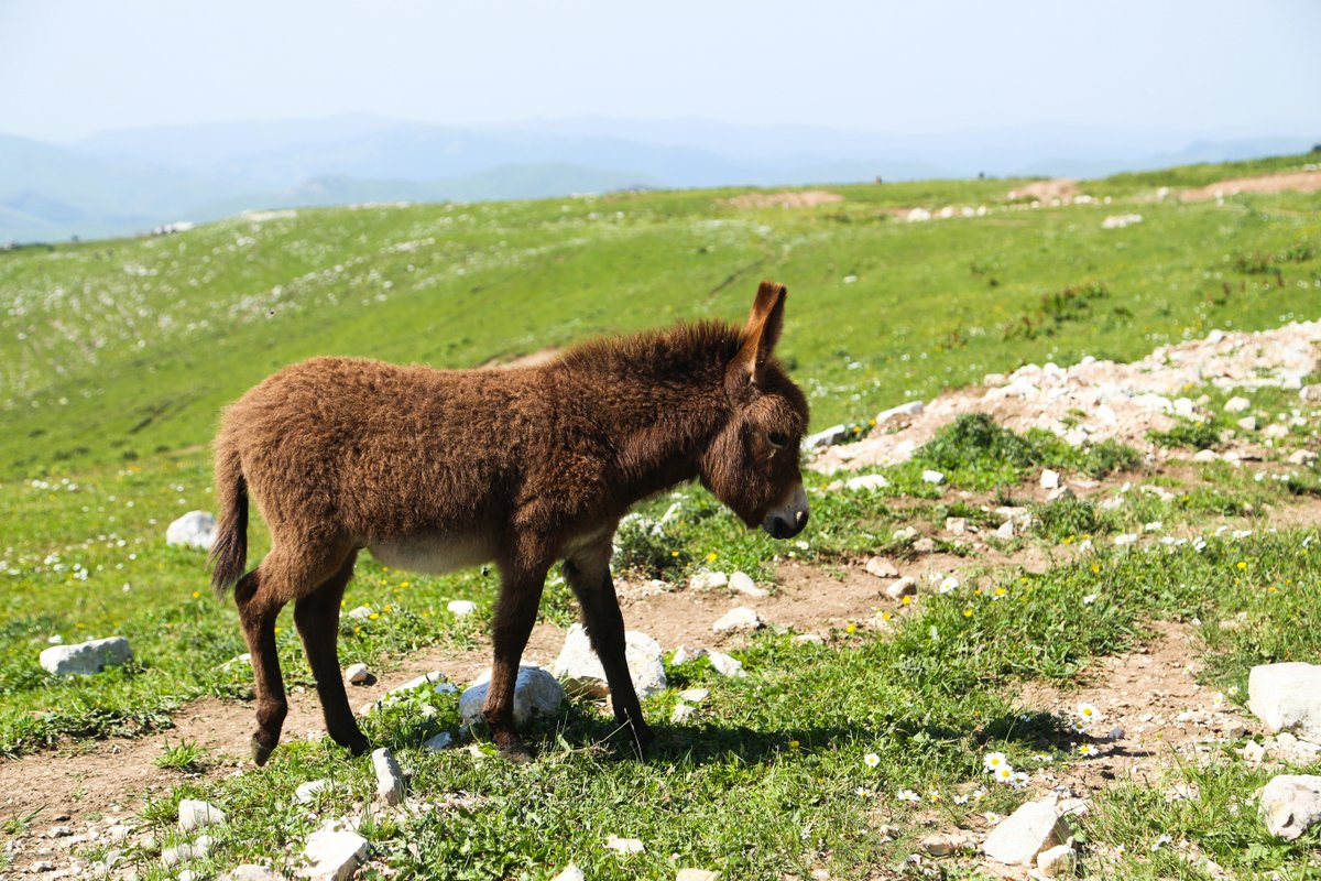 Selbstfahrerreise Armenien Mietwagen Reise Kaukasus-Reisen Foto: Vahagn Grigoryan