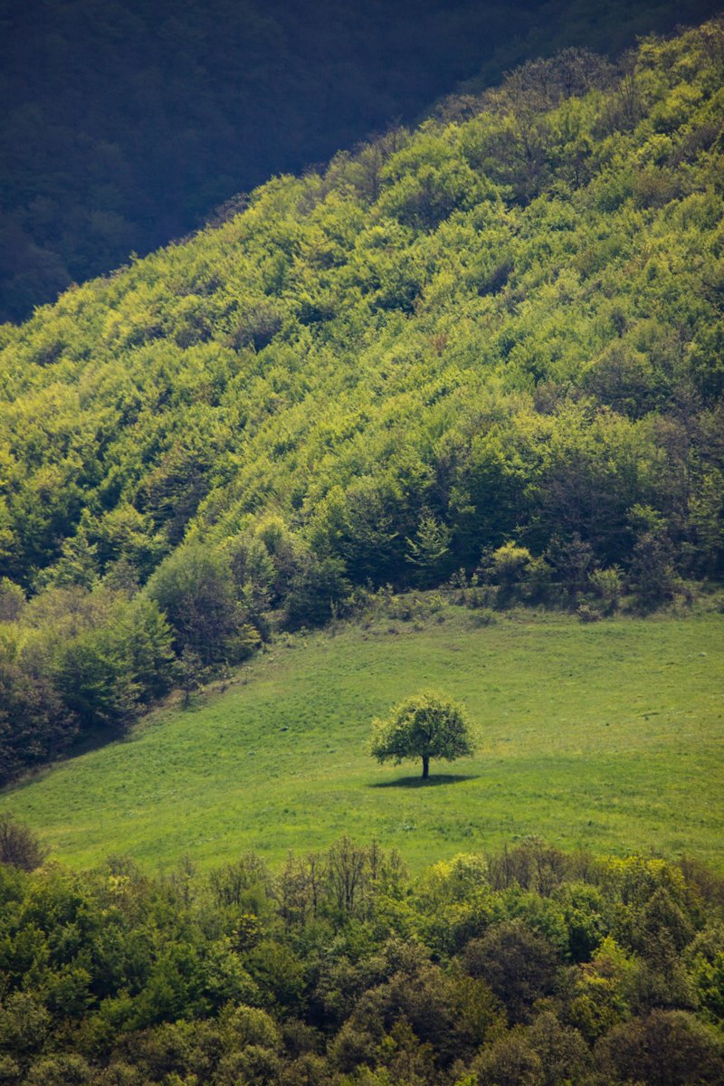 Selbstfahrerreise Armenien Mietwagen Reise Kaukasus-Reisen Foto: Vahagn Grigoryan