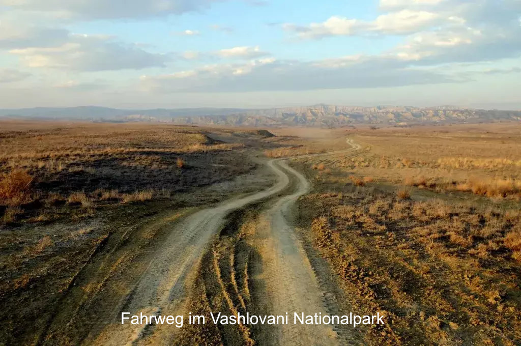 Fahrweg im Vashlovani Nationalpark Georgien